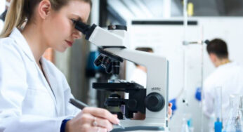 Plant Biology – The Importance of a Bachelor’s Degree